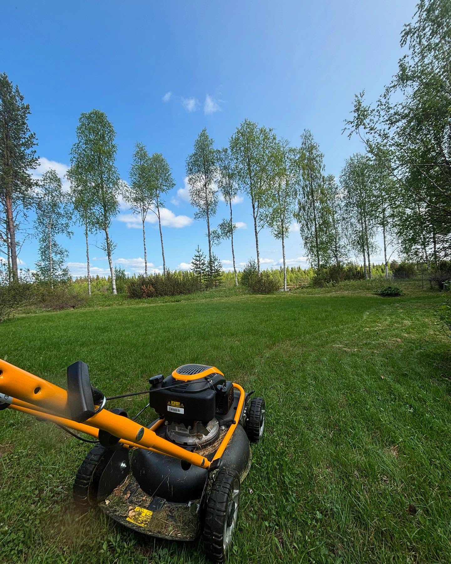 Hei,
Näin kesän aikana ruohonleikkauksia tehdään, pusikkojen raivauksia ja puiden kaatamistakin mitä asiakas haluaa ja tarvitsee.
Voidaan tehdä asiakkaan tai meidän koneilla.
Hyvällä kelillä tätä kyllä tekee, mutta ikävä silloin kun itikat tulee kimppuun. 😄
#sodankylä #ruohonleikkuri #stiga #ruohonleikkaus #kesä #työpalvelu